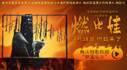 精品国产高清在线看国产